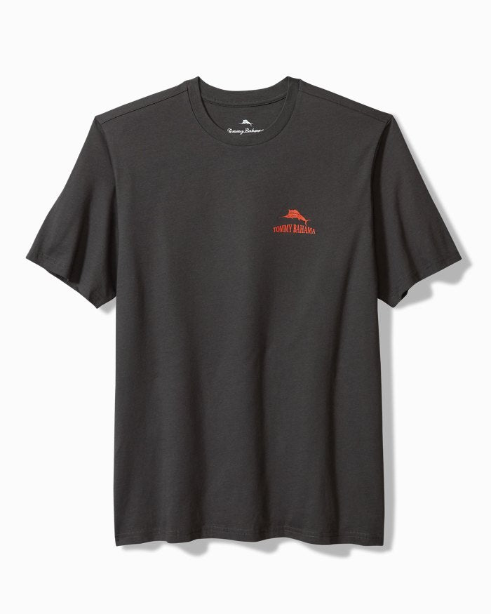 Hazy Conditions Tee